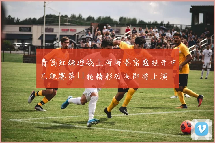 青岛红狮迎战上海海港富盛经开中乙联赛第11轮精彩对决即将上演
