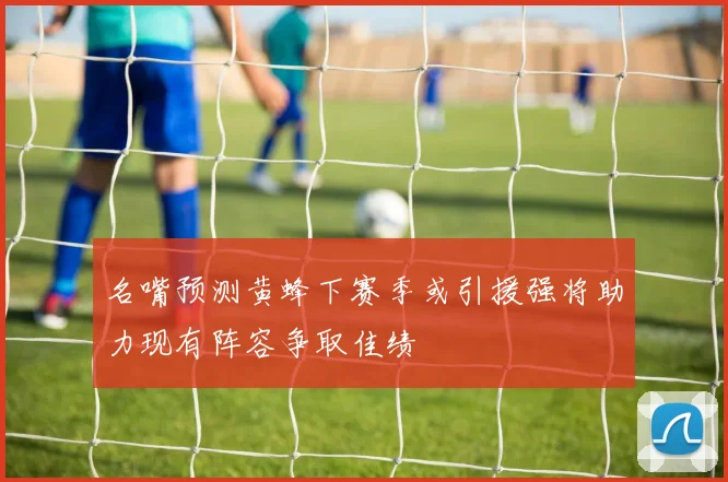 名嘴预测黄蜂下赛季或引援强将助力现有阵容争取佳绩