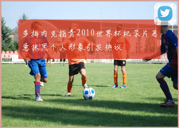 多梅内克指责2010世界杯纪录片恶意抹黑个人形象引发热议